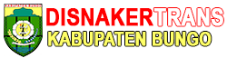 footer-logo